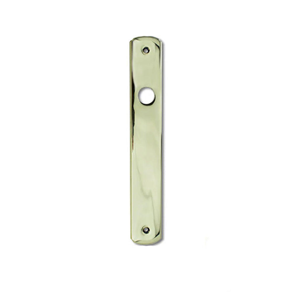 Parts- Escutcheon Plate, Passive Panel - H.P. Bright Brass