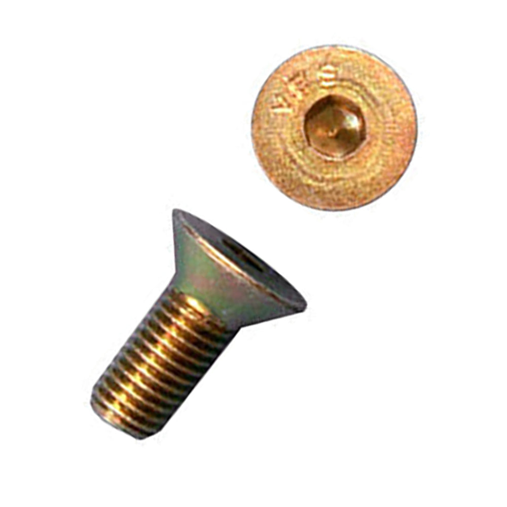 Andersen Hinge Screw, Fixing set for Adjustable Hinge - Satin Brass