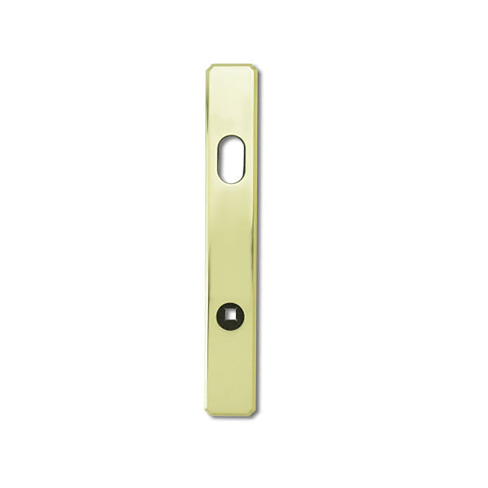 Escutcheon Plate, Active Exterior - H.P. Bright Brass